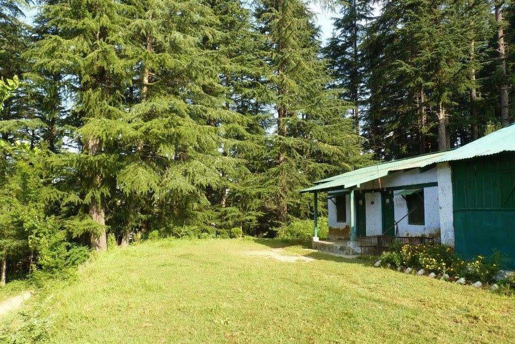 Lohaghat travel image