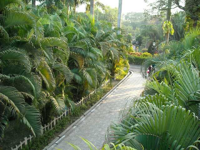KMDA Park travel image