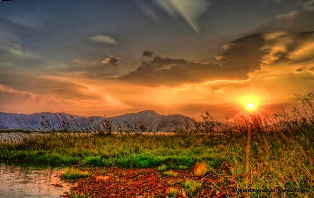 THE SETTING SUN