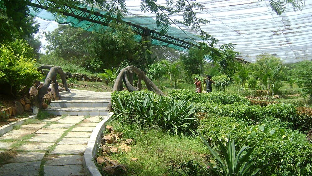 Arignar Anna Zoological Park travel image
