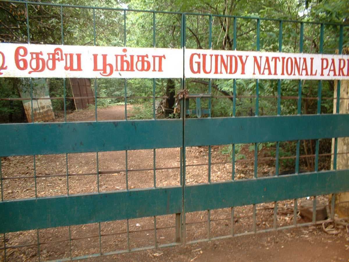 Guindy National Park travel image