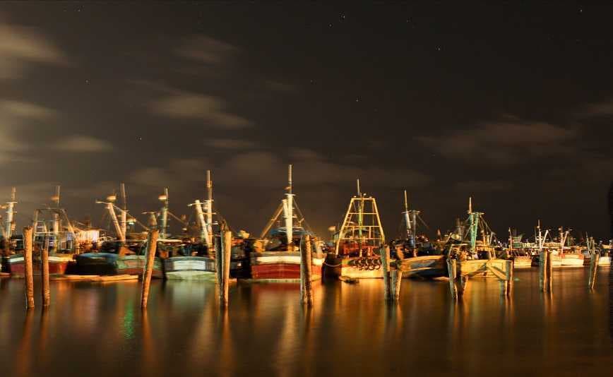 Royapuram Fishing Harbour travel image