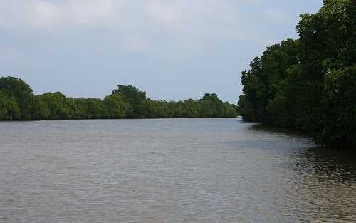 Pichavaram Mangrove Forests travel image