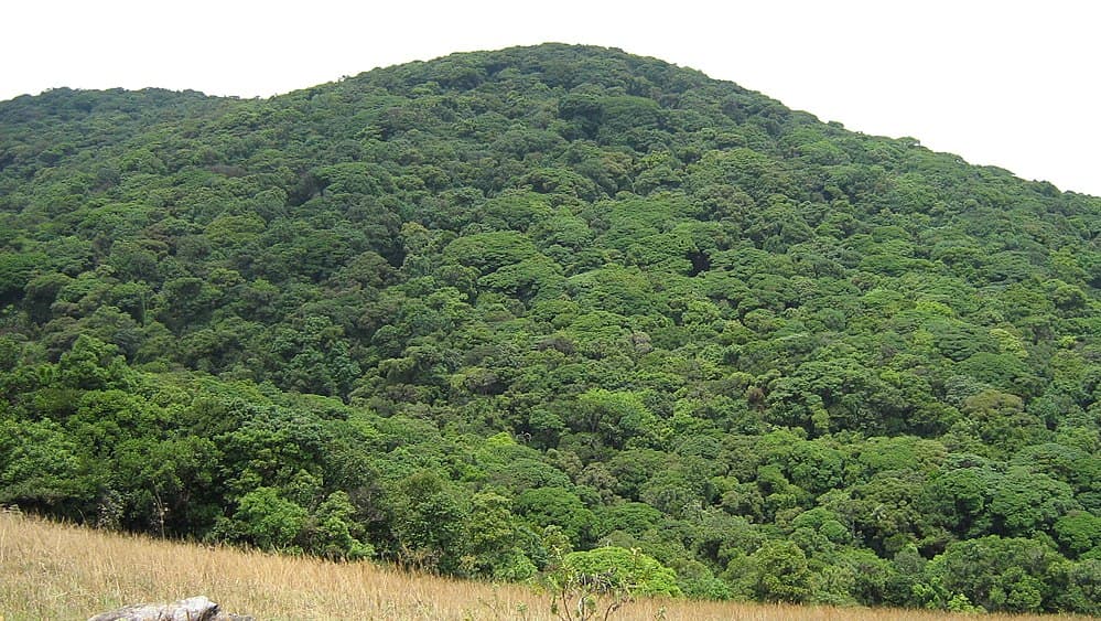 Kudremukh National Park travel image