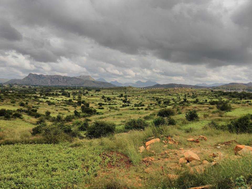 Beautiful View of Horsley Hills