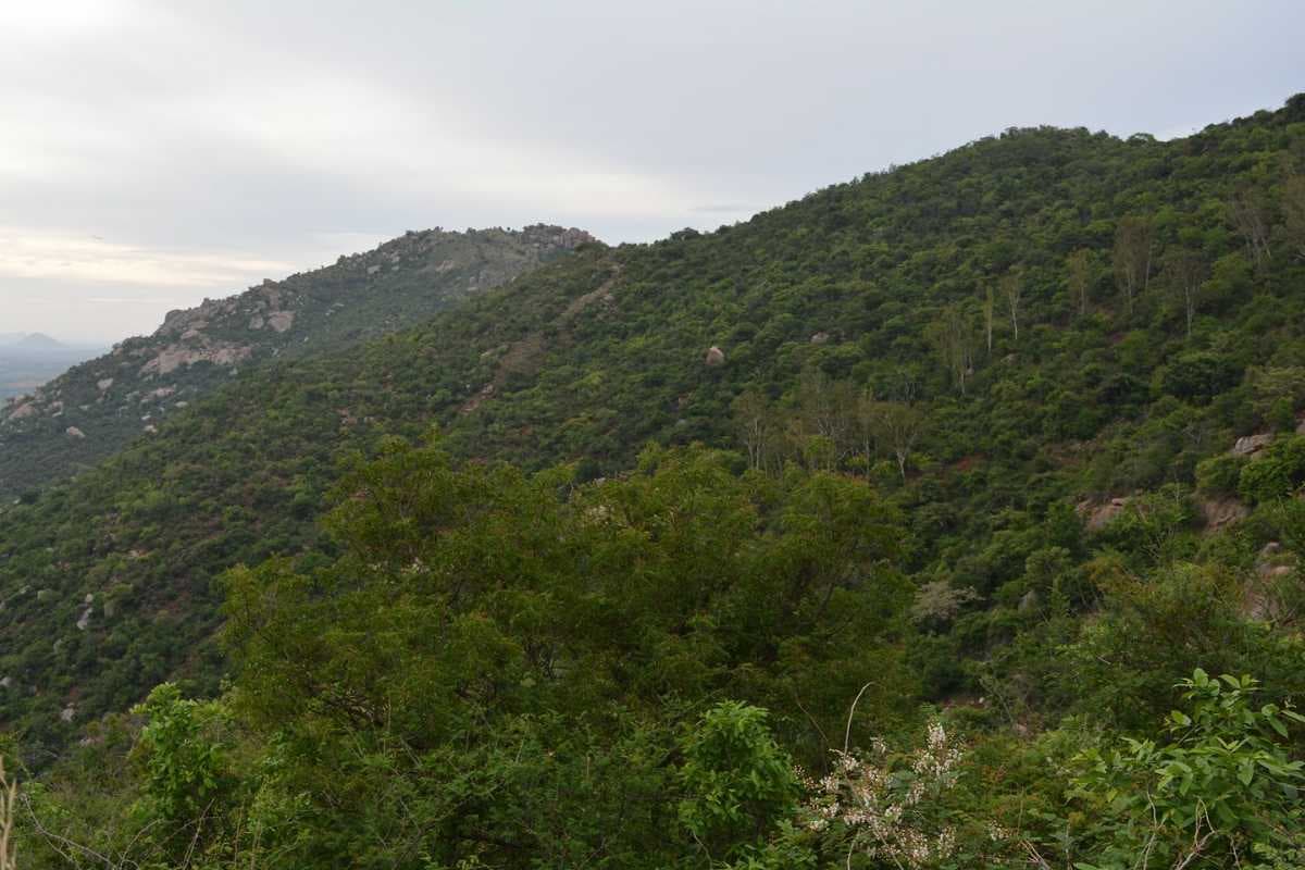 Horsley Hills - Situated at an Altitude of 4312 meters