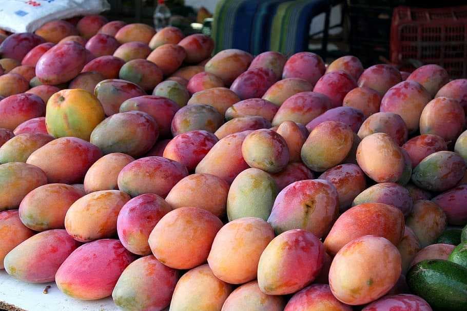 One can Find Various Types of Mangoes at a Reasonable Price