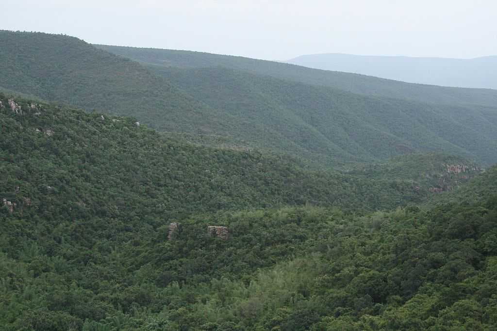 Beautiful View from Sri Venkateshwara National Park
