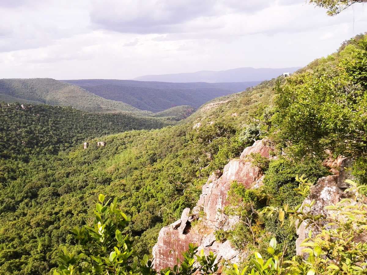 Spectacular View of Sri Venkateshwara National Park
