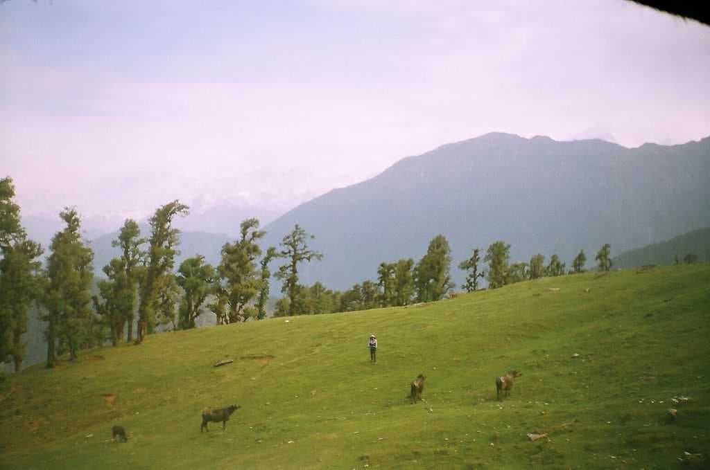 Tungnath Temple travel image