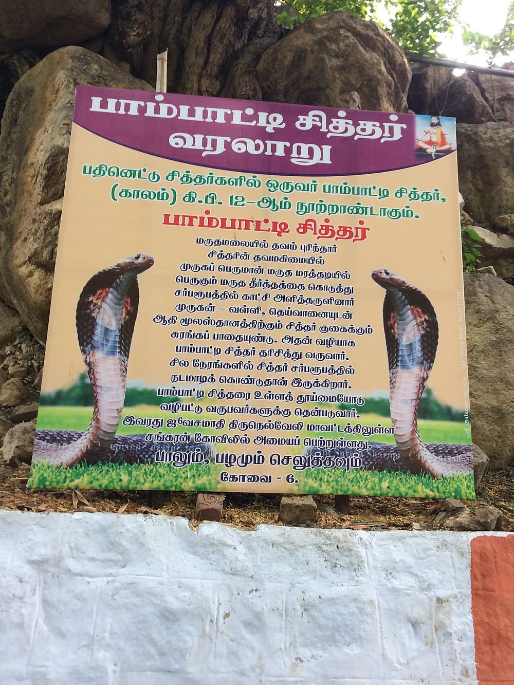 Marudhamalai Hill Temple travel image