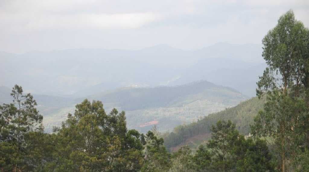 Nilgiri Biosphere Nature Park travel image