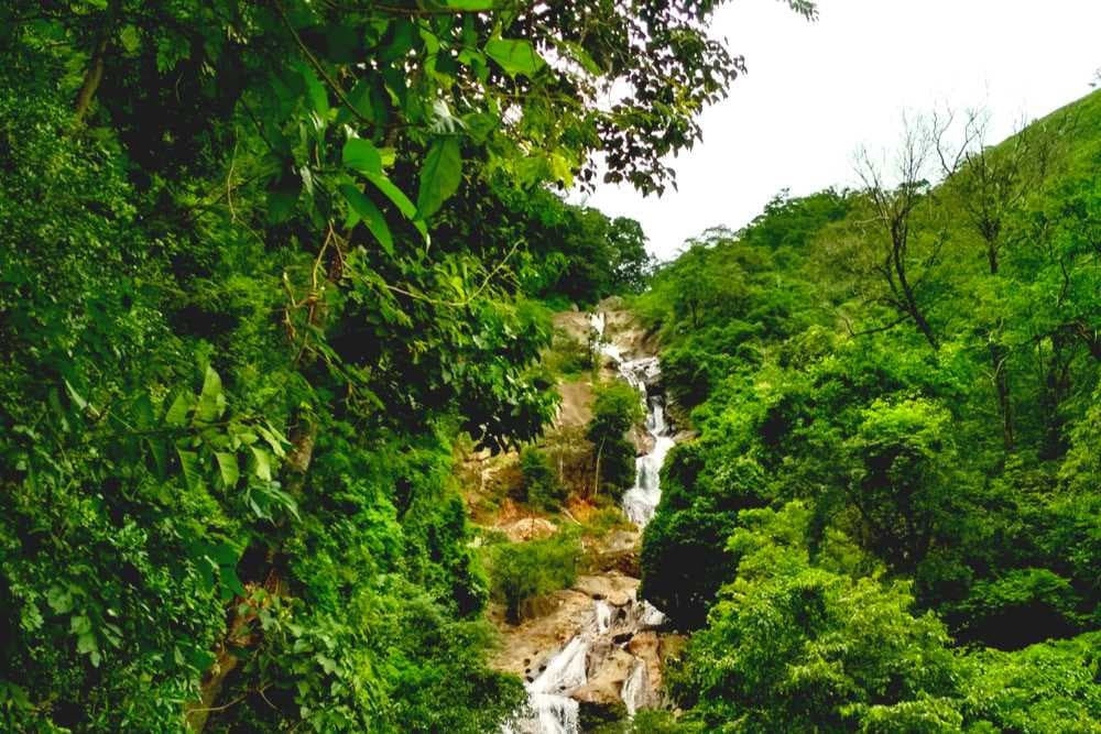 Siruvani Falls Surrounded with Greenery, Coimbatore