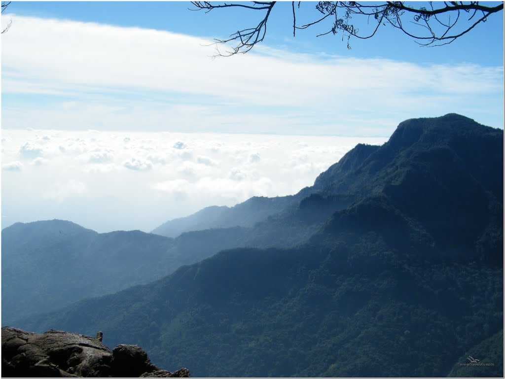 Coonoor