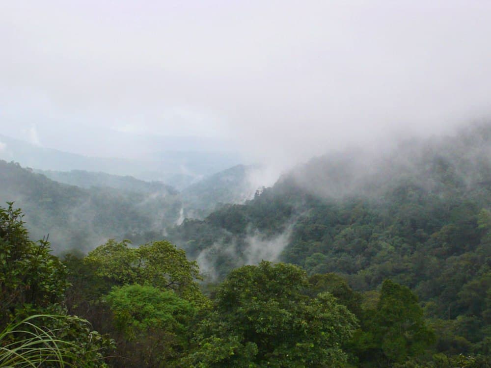 Brahmagiri Wildlife Sanctuary travel image