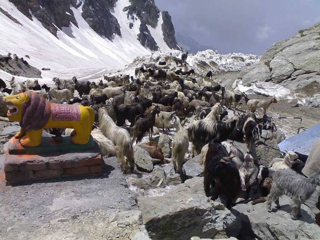 Sach Pass travel image