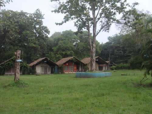 Kulgi Nature Camp