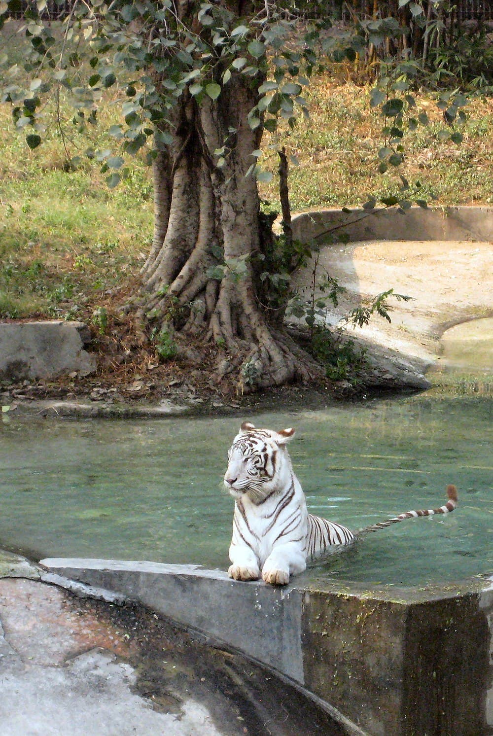 Delhi Zoo travel image