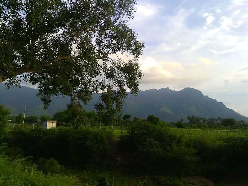 The view from Sirumalai