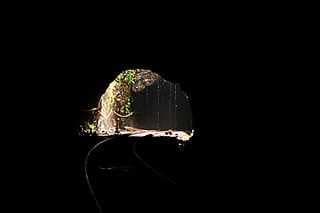 Dudhsagar Falls travel image