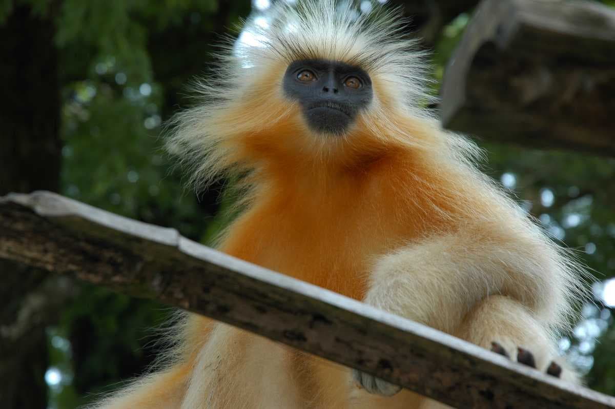 Kokrajhar travel image