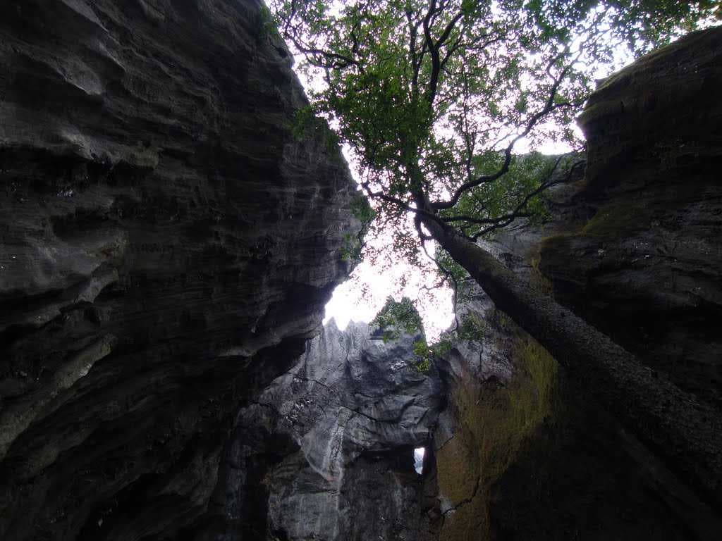 Yana Caves travel image