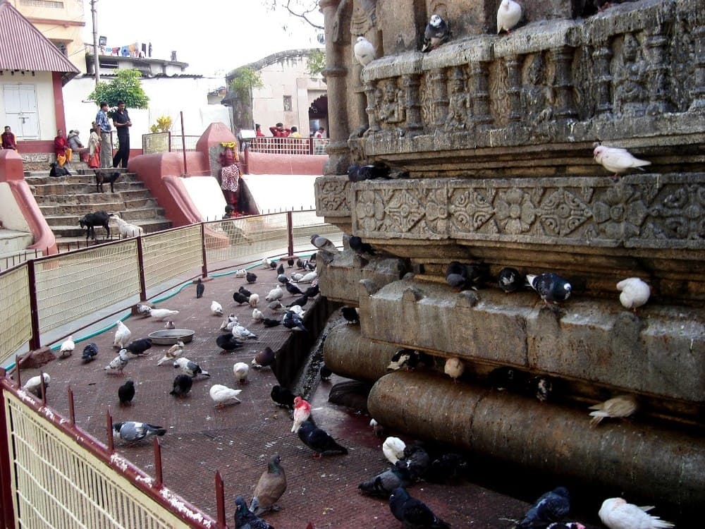 Kamakhya Temple travel image