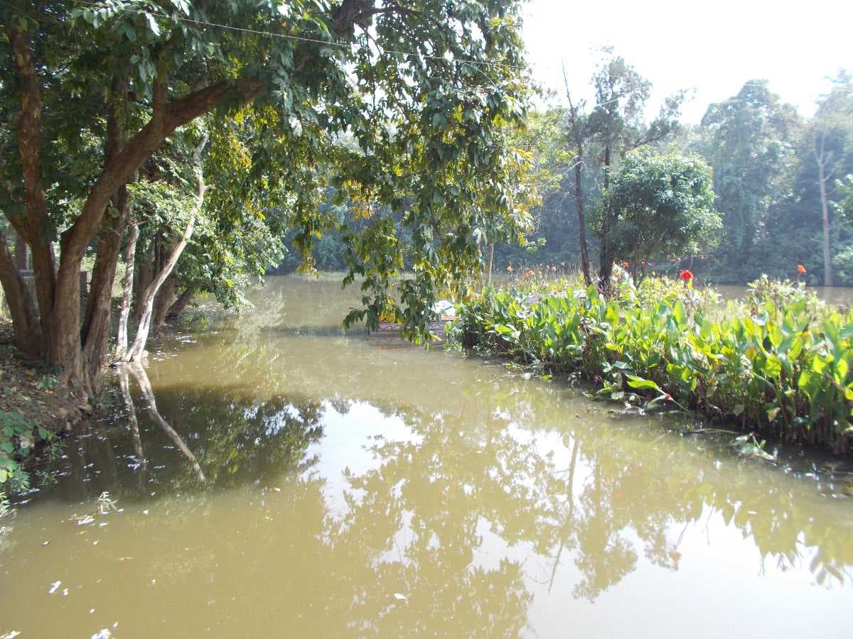 Hazaribagh National Park travel image