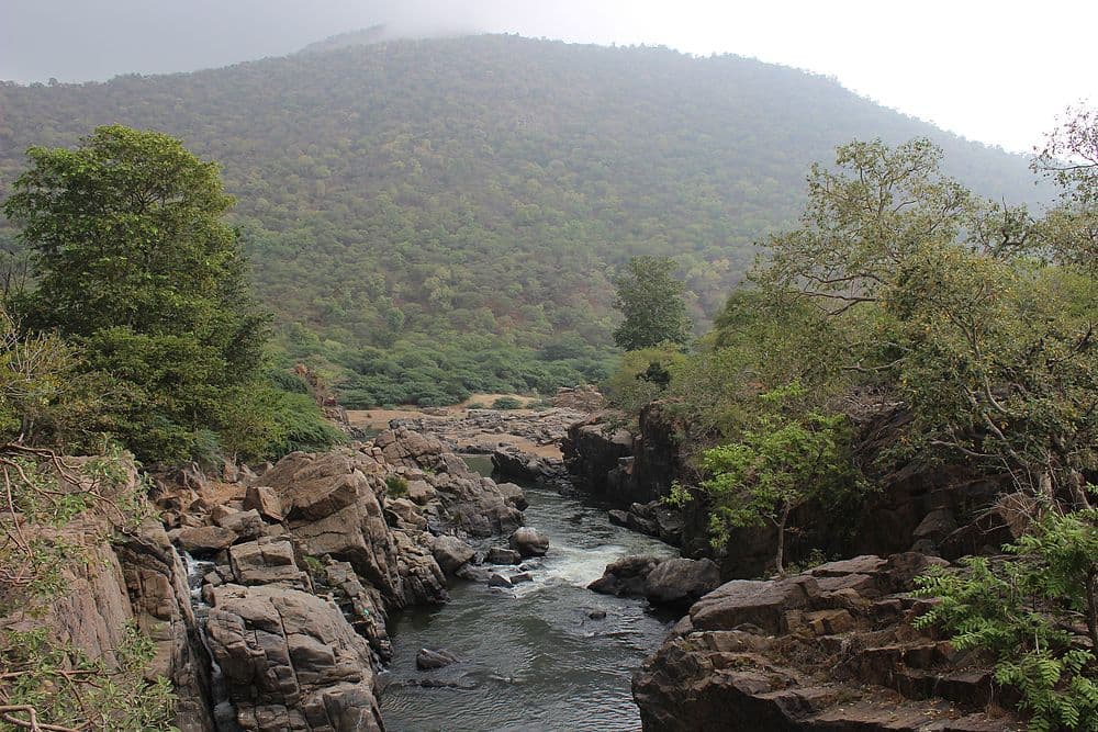 Hogenakkal Falls travel image