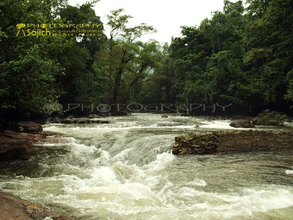 Thommankuthu Falls