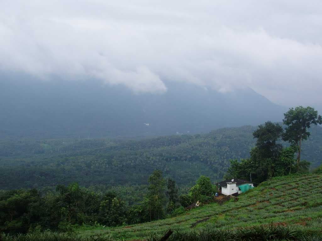 Thumpachi Kalveri Samuchayam