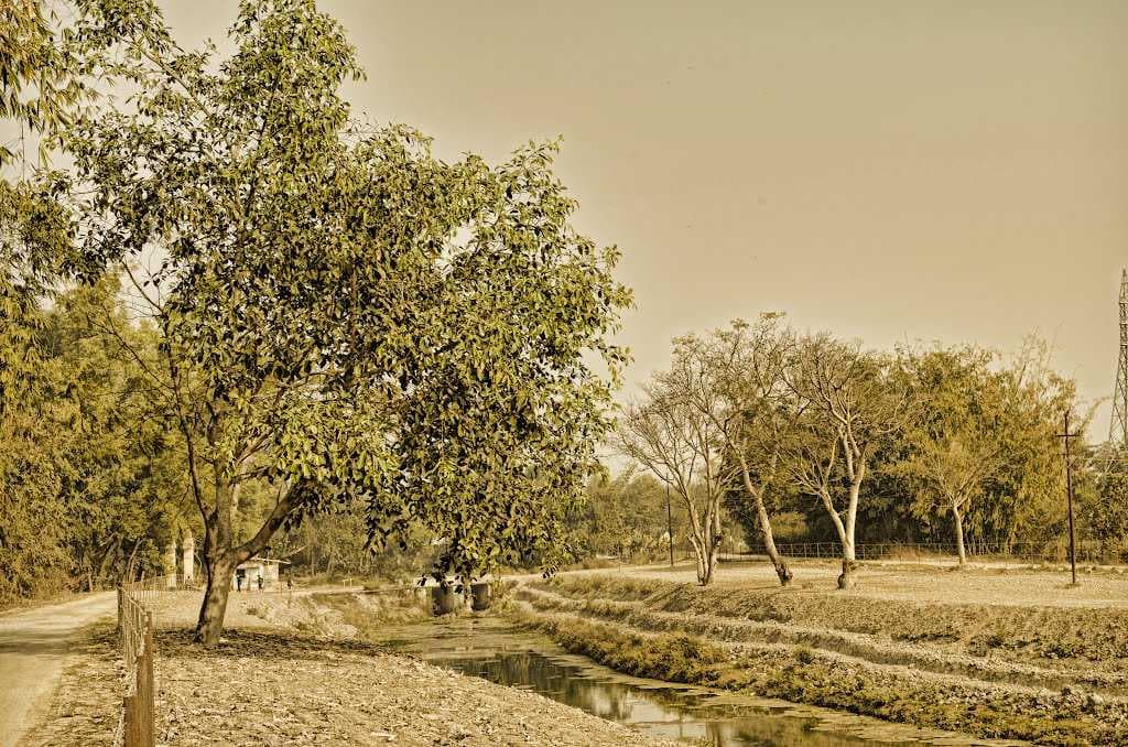 Langthabal
