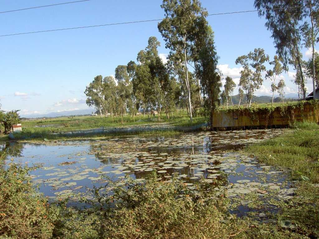 Loktak Lake and Sendra Island travel image