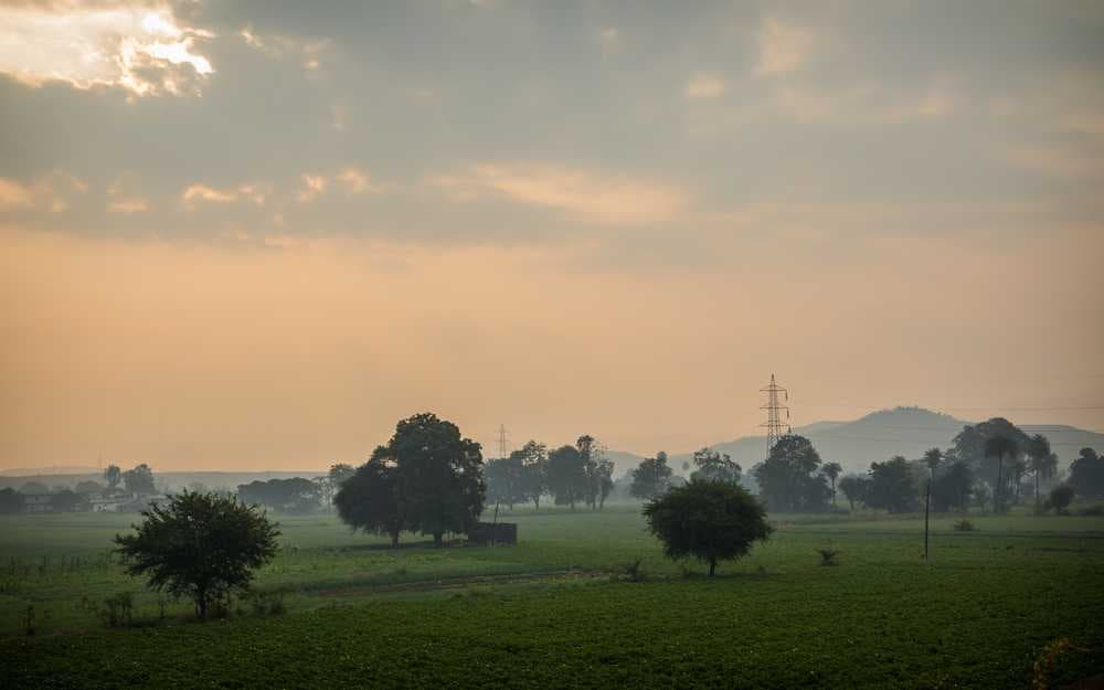 Misty Morning View in Janapav