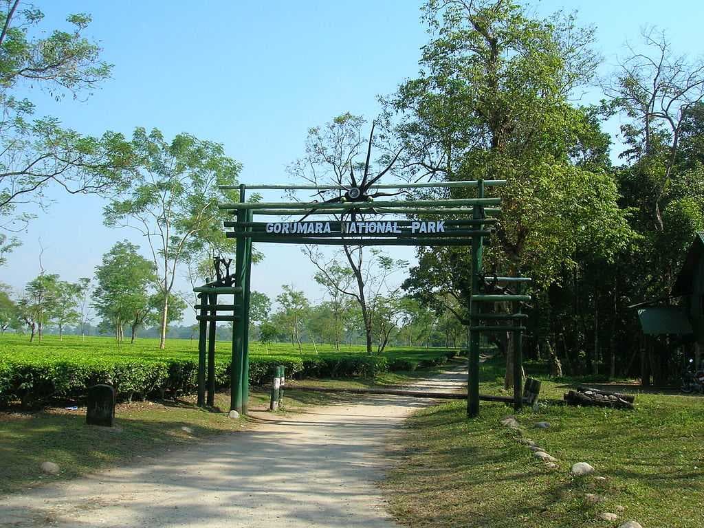 Gorumara National Park travel image