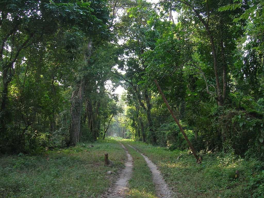 Gorumara National Park travel image