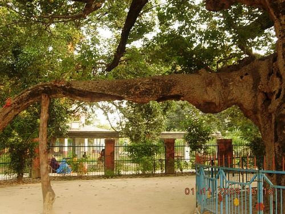 Kalpavriksha travel image