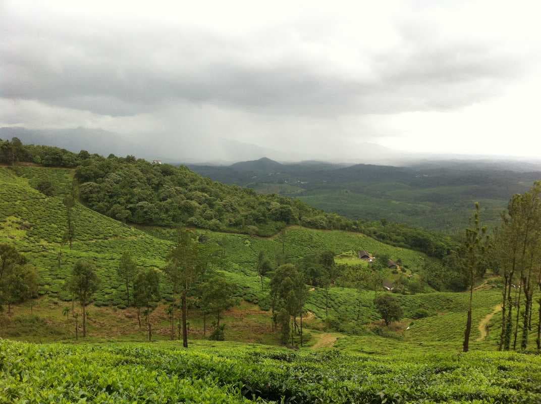 Chembra Peak travel image