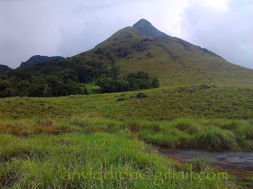 Chembra Peak travel image