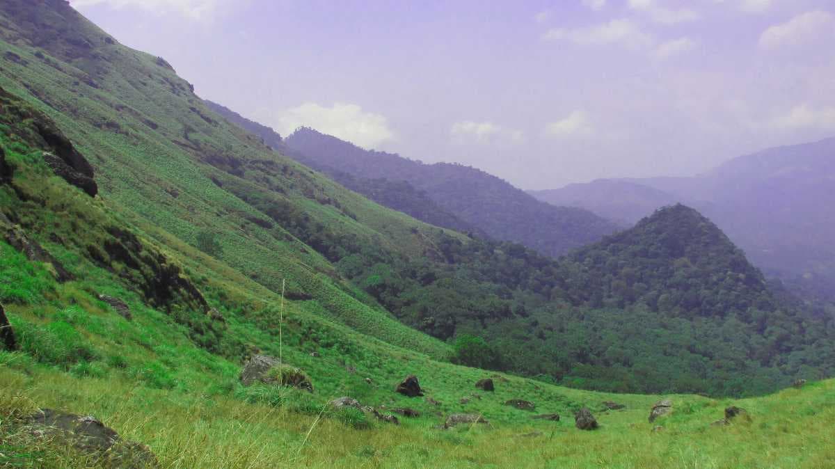 Chembra Peak travel image