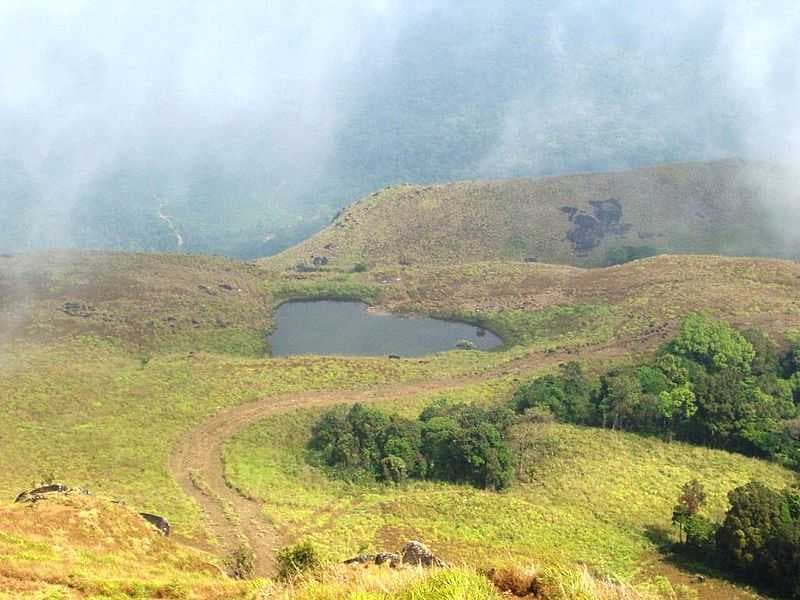 Chembra Hill, Wayanad