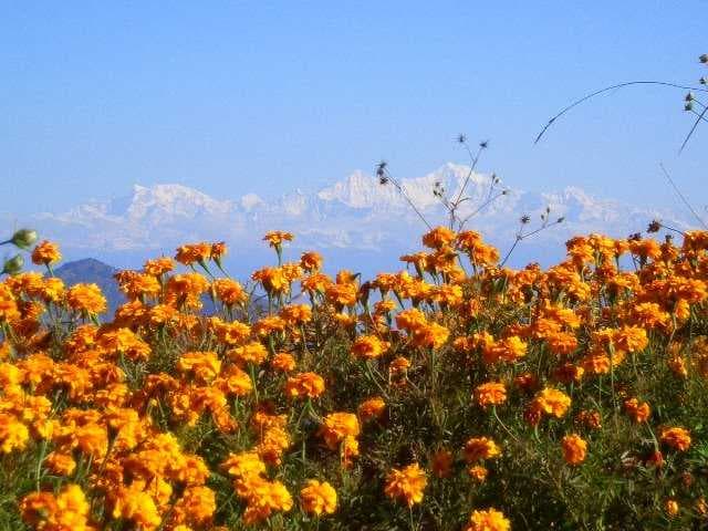 Dhanaulti