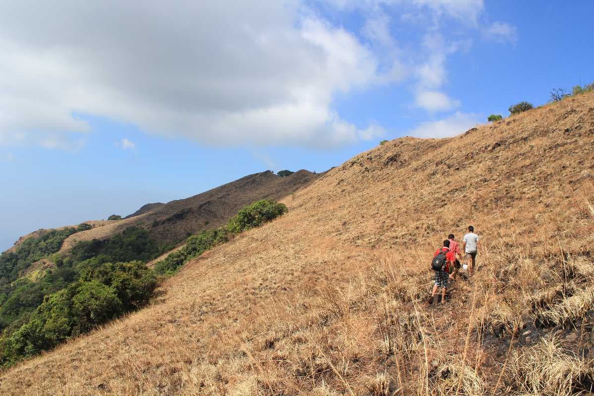 Paithalmala travel image