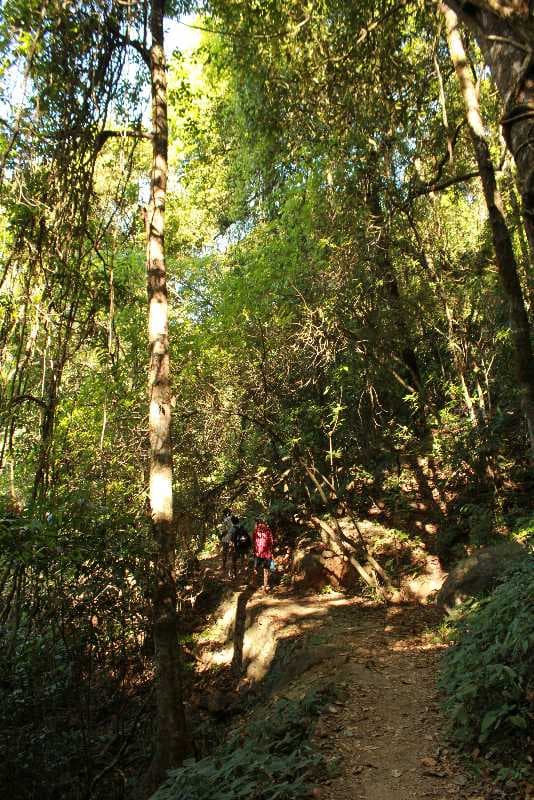 Paithalmala travel image
