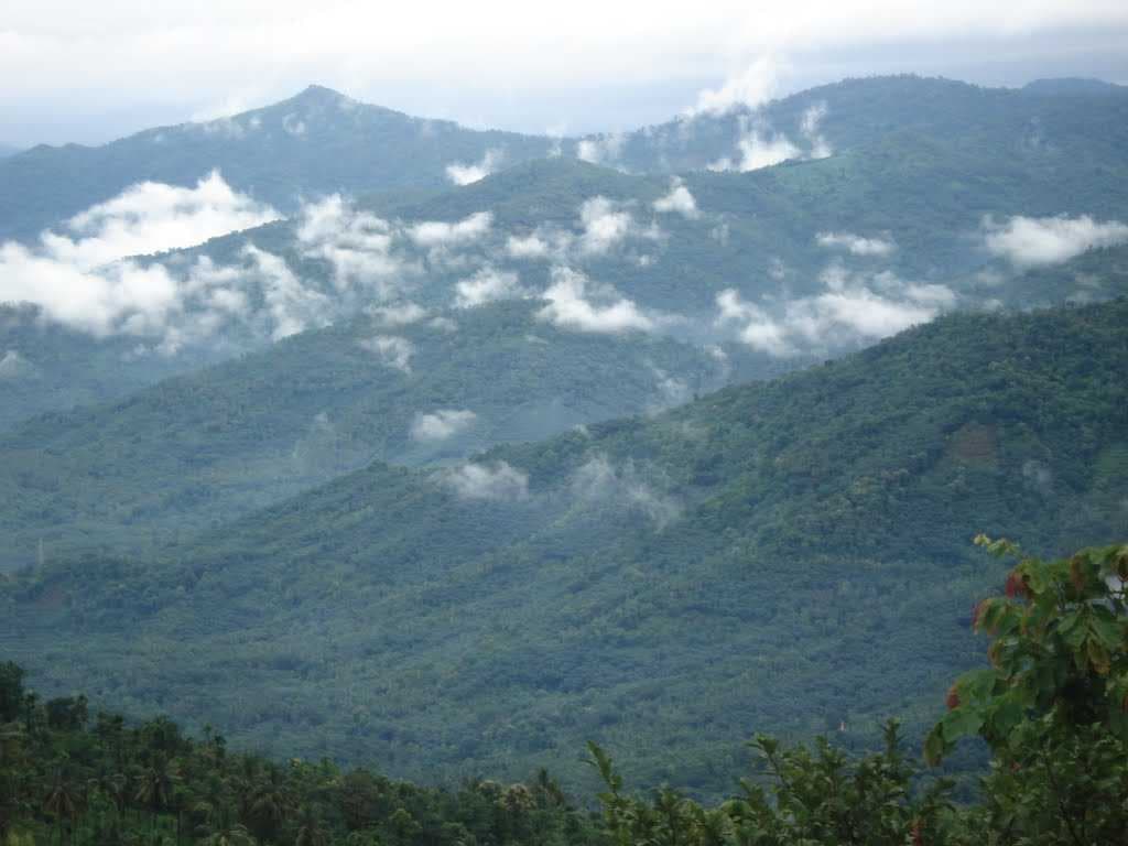 Paithalmala travel image