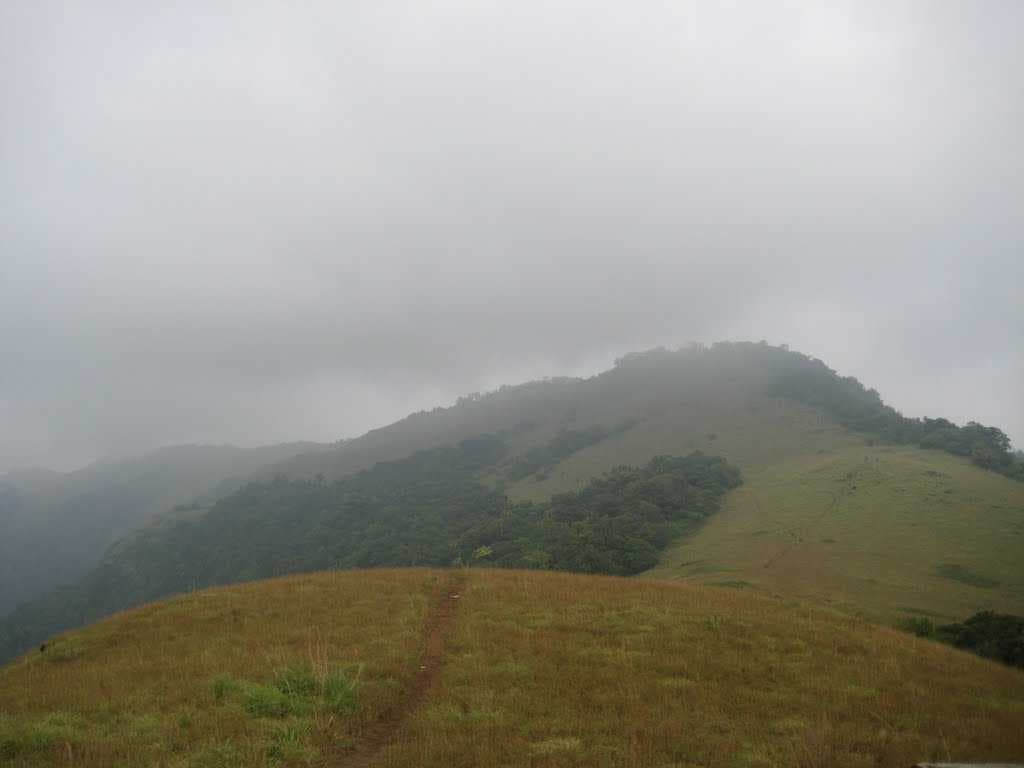 Paithalmala travel image