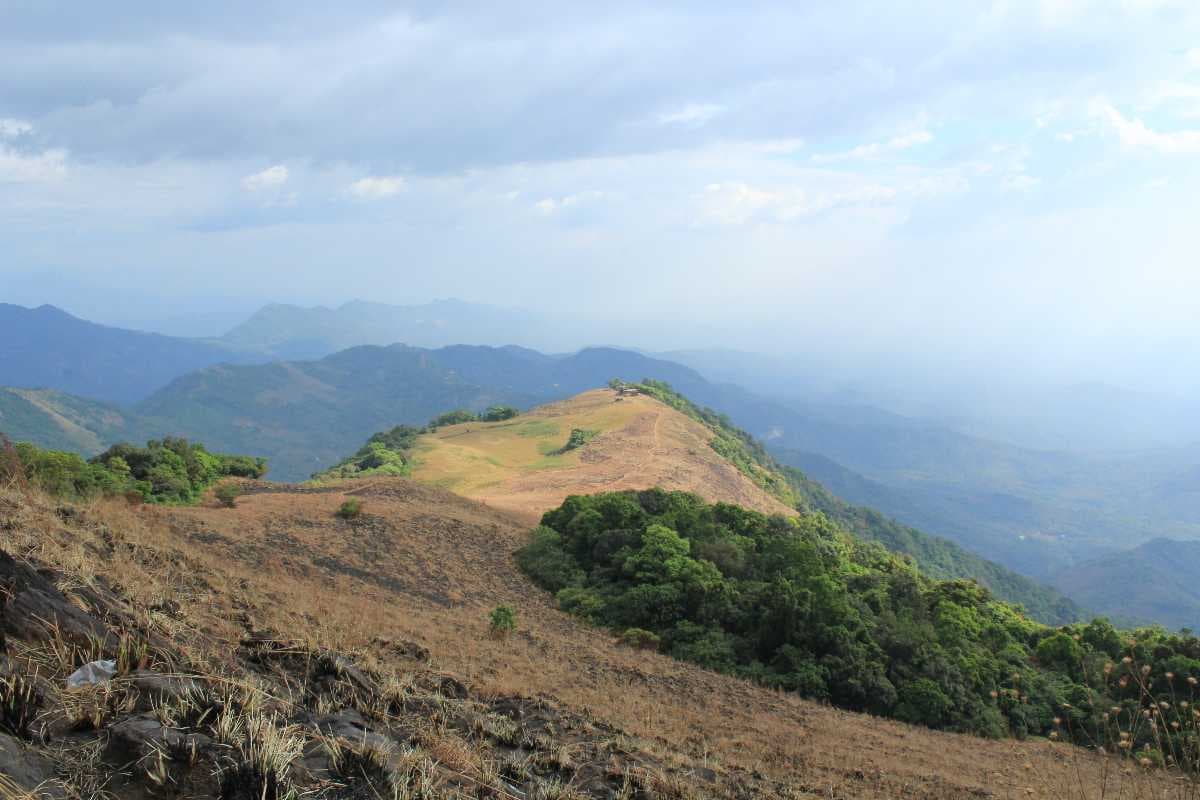 Paithalmala travel image