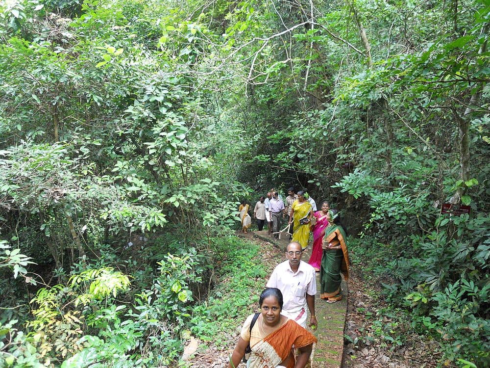 Taliparamba travel image