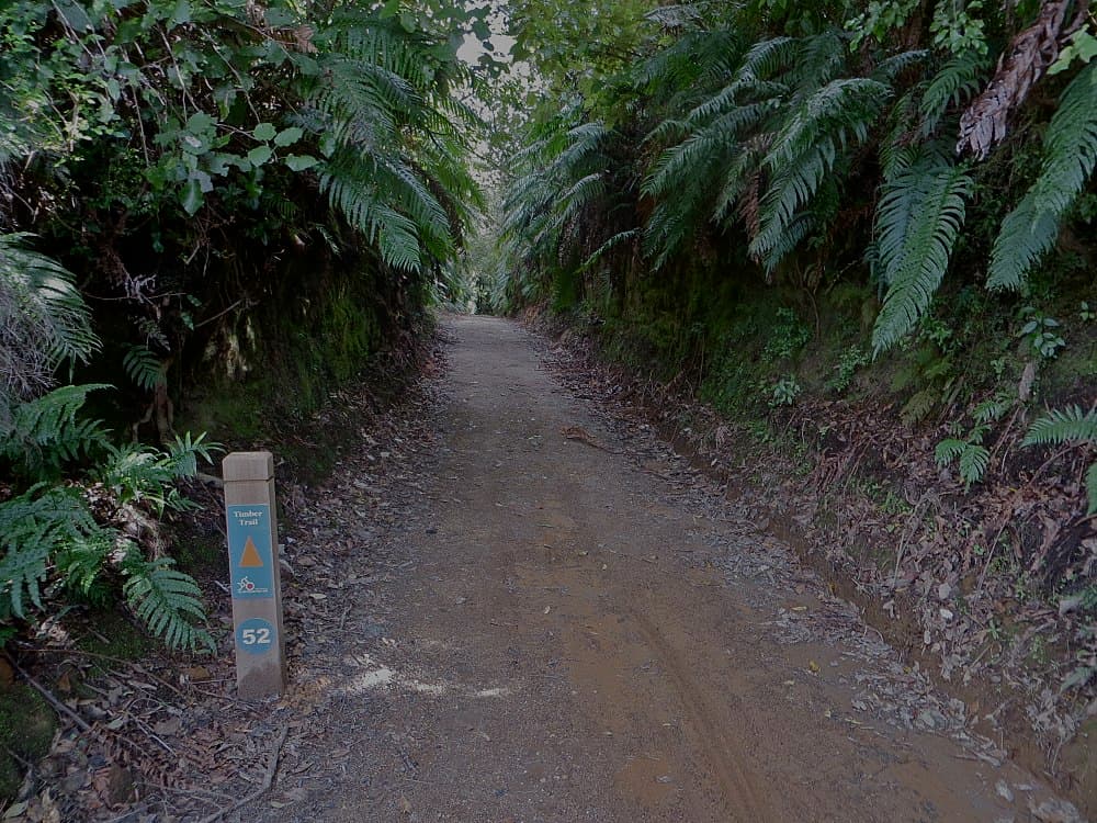 Timber Trail travel image