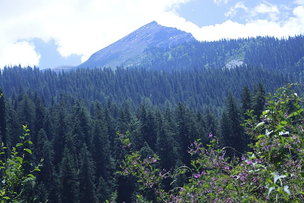 Kheerganga Trek travel image